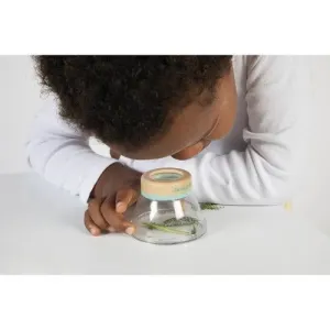 LUPA INSECTOS MADERA