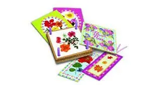 SET MANUALIDADES PRENSADO DE FLORES PRENSADAS