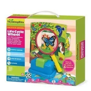 JUEGO EL CICLO DE LA VIDA