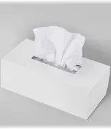 C/100 PAÑUELO FACIAL 2 CAPAS 