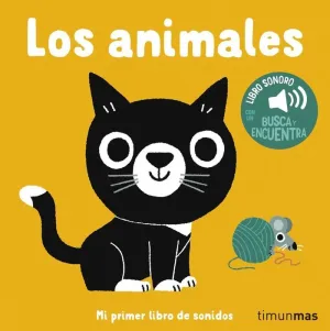 MI PRIMER CONCIERTO DE MÚSICA CLÁSICA LUCES Y SONI