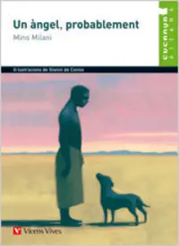 16. UN ÀNGEL,  PROBABLEMENT