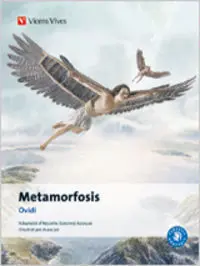 9. METAMORFOSIS