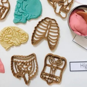 CORTADORES PARA PLASTILINA Y MESAS DE LUZ DE LOS ÓRGANOS DEL CUERPO HUMANO